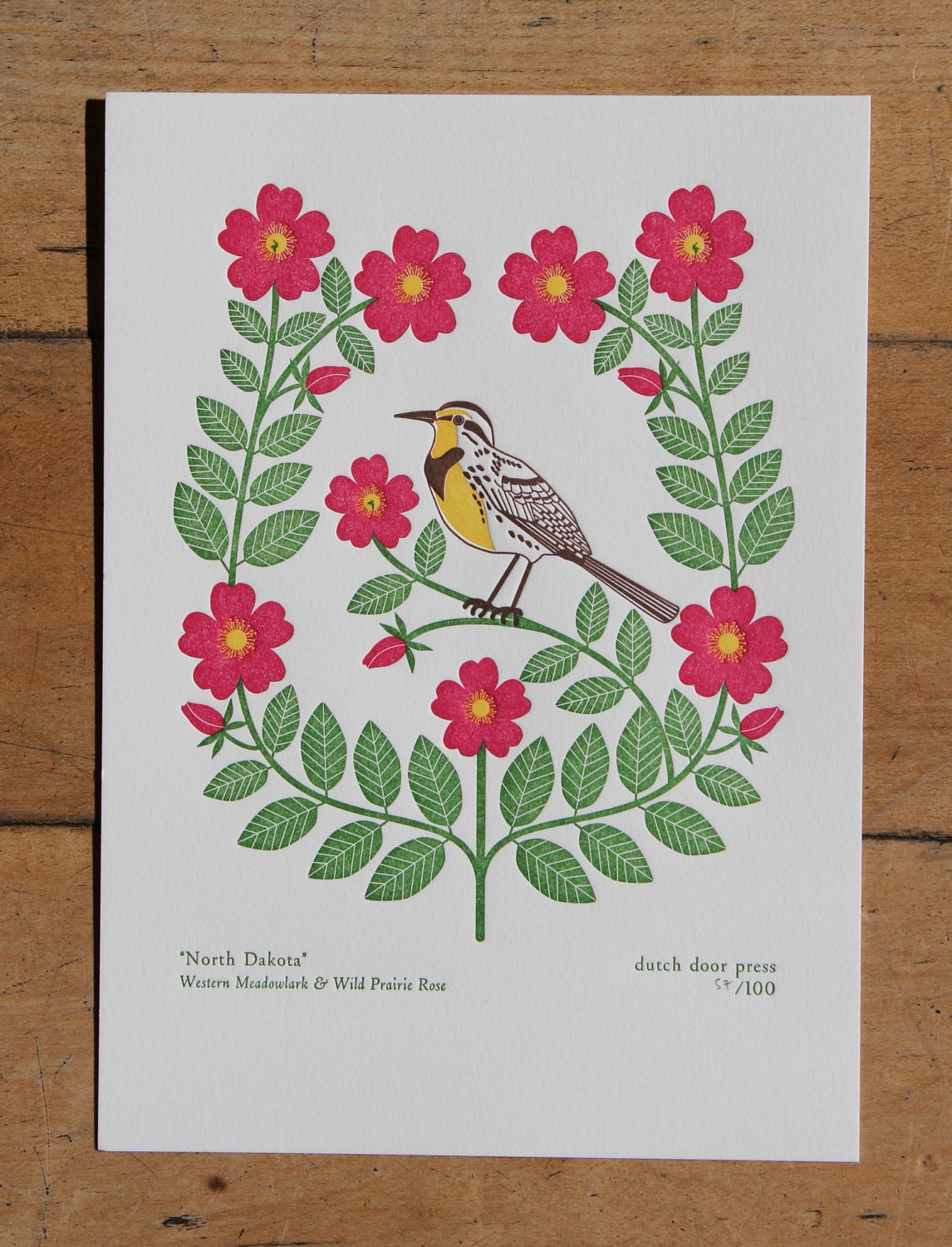 north dakota (from birds and blooms of the 50 states)