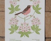 connecticut (from birds and blooms of the 50 states)