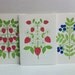 berries note set (multi set of 6)