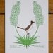 new mexico (from birds and blooms of the 50 states)