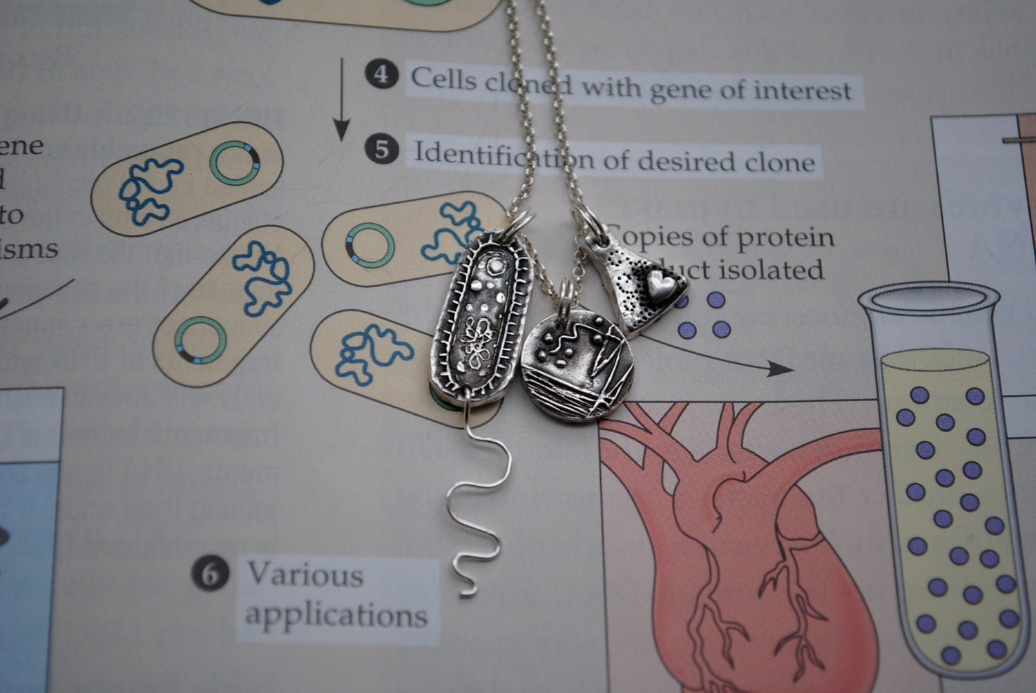 Microbiology Charm Necklace: Choose a Charm