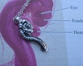 Chick Embryo Pendant
