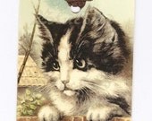Gift Tags Vintage French Kitten and Mouse by Bluebird Lane