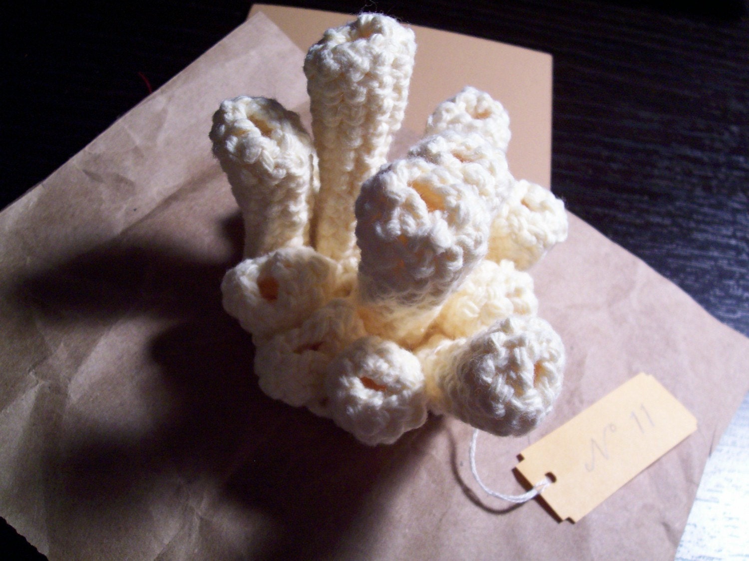 Pattern for Blooming Coral