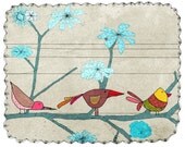 birds