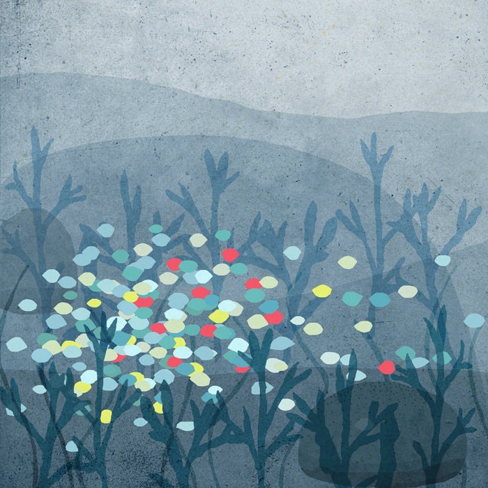 marin - fishes