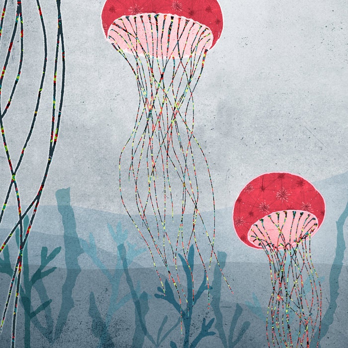 marin - jellyfish