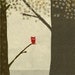 la foret 3