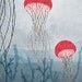 marin - jellyfish