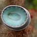 limpet ring