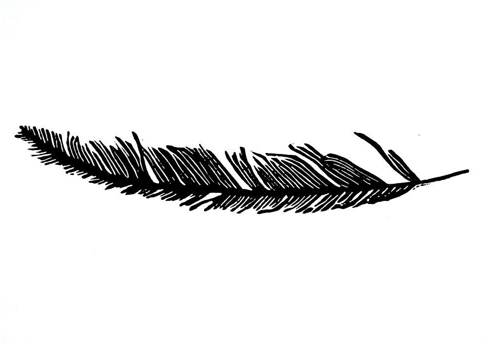 single feather