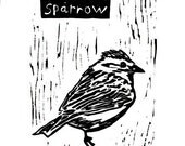 sparrow