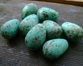 A Robin's Egg
