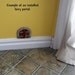 Cape Cod Fairy Door