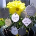 Extra Large hand stamped garden / herb marker .. 2" square