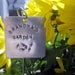 Extra Large hand stamped garden / herb marker .. 2" square