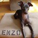 Large 25x38 Dog Bed Cover with Personalization : Use two standard sleeping pillows as stuffing