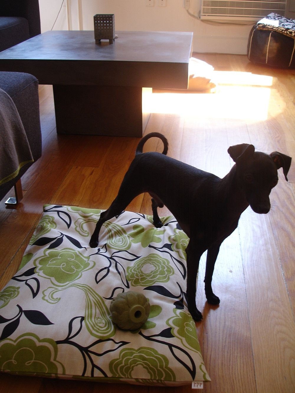 Designer 24x36 Dog Cat Pet Bed Duvet Cover : You Choose Fabric Collection and Color