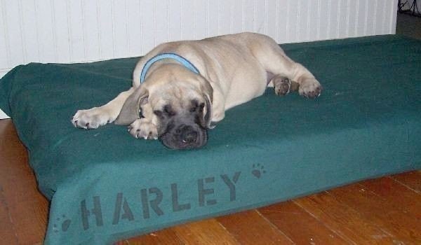 Dog Bed Cover for Baby Crib Mattress made from Quality Duck Canvas 20 Great Colors with Personalization