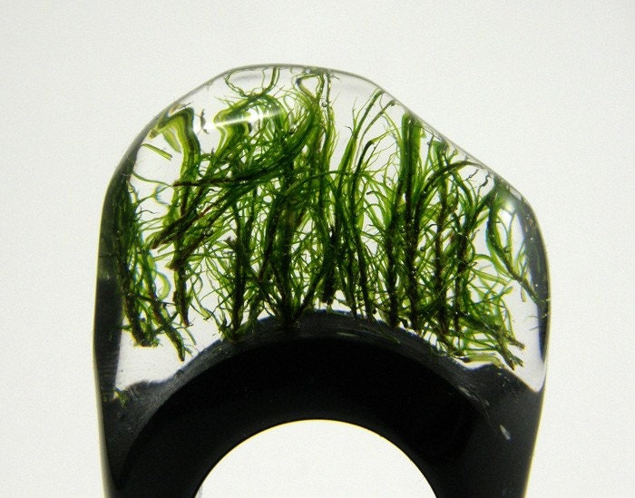 MOSS Ring/reserved for pdiana67