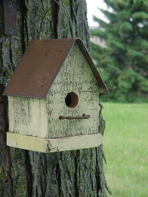 Rustic Yellow Birdhouse Cottage Beach French Country Simple and Sweet