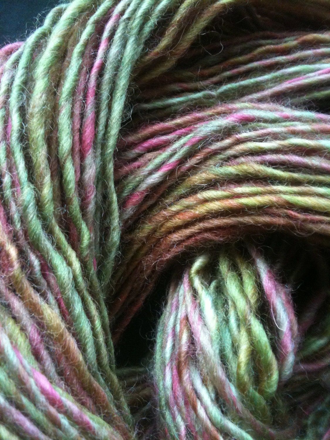 Ooak Skein of GARDEN PARTY ANIMAL Handspun and Hand Dyed Single Ply Worsted Yarn 125 Yards Wool