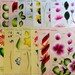Set of ONE STROKE FLOWERS INSTRUCTIONAL GUIDES Donna Dewberry 32 FLOWERS