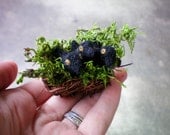 Miniature Felted Row Of Crows