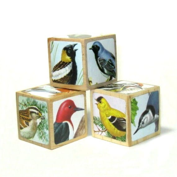 Natural History Bird Art Blocks Home Decor Bird Decoration