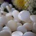 RESERVED for penwiper -- 140 pcs Flat round Shell coin beads 10-11mm - White -- SB21