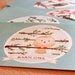 SALE Set of 10 Owl Postcards - 4 x 6 - Snowy Owl, Barn Owl, Screech Owl, Spotted Owl, Great Horned Owl