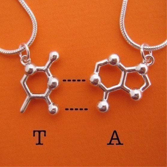 friendship necklace set - DNA and RNA base pairs