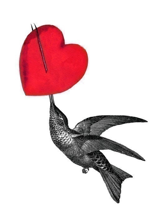 Hummingbird Card