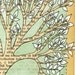 SALE - Tree - print