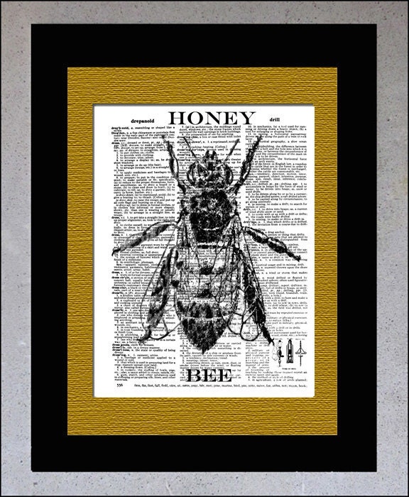 Honey Bee Print on Vintage Dictionary Book page, Upcycled Dictionary page, Insect Bee Art Print