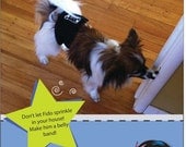 Belly band for boy dog sewing pattern PDF