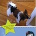 Belly band for boy dog sewing pattern PDF