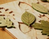 Wooden Leaf Puzzle