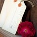 Mr & Mrs - Vintage Luggage Tag Escort Cards - Place or Favor Cards for your Wedding Day - Set of 25 Tags