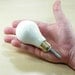 Rare Albino White Concrete Lightbulb with Brass Base