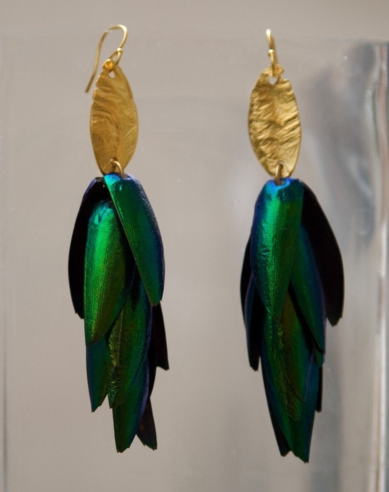 Fancy Beetle Wing Earrings