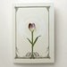 purple orchid flower pop up card