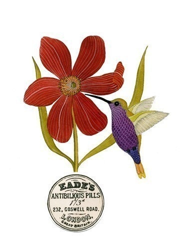 Bird No.5