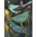 Three Little Birds