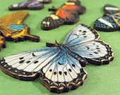 Large Butterflies - Collection of 7 Wood Butterflies