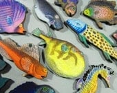 Tropical Fish Collection with Happy Whale Bonus