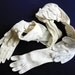 Glove Scarf