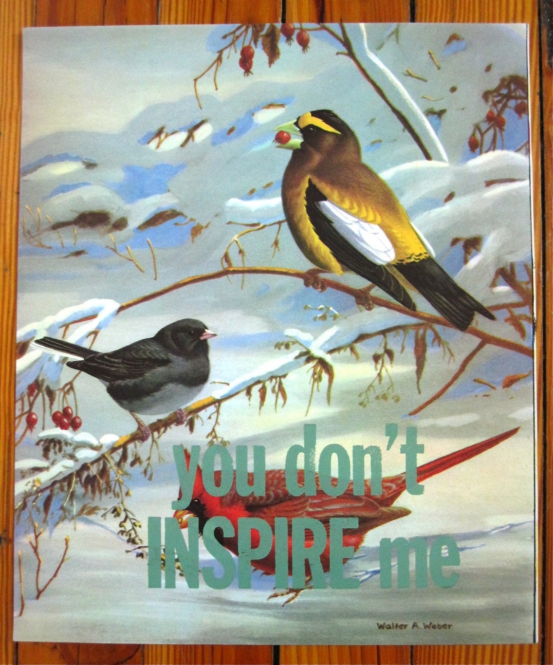 you don't INSPIRE me - letterpress print on vintage illustration