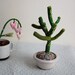 Stuffed Succulent