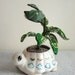 Turtle Stuffed Plant